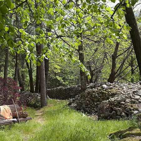 Logis Hotel-restaurant Le Tanargue 3* Valgorge