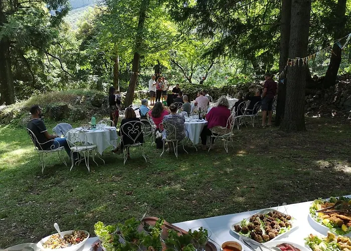 Logis Hotel-restaurant Le Tanargue 3*